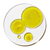 Acide Hyaluronique