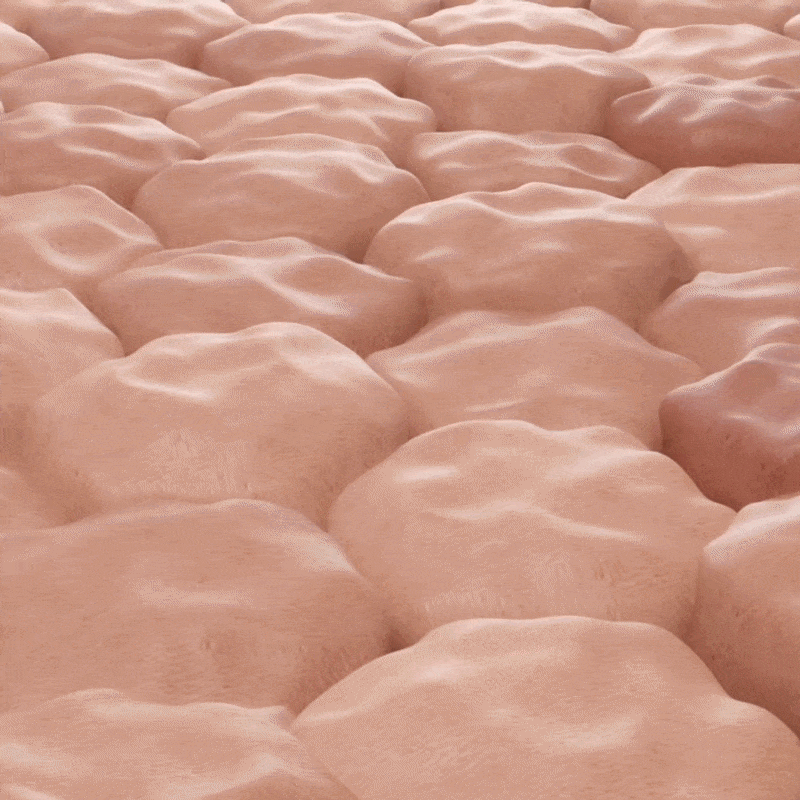 Pourquoi Notre Huile au Collagène Fonctionne Là Où les Crèmes Échouent